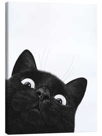 Leinwandbild  Lustige schwarze Katze - Valeriya Korenkova