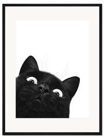 Gerahmter Kunstdruck Lustige schwarze Katze