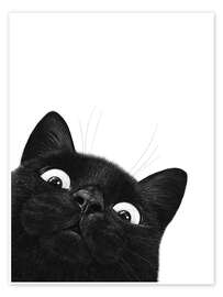 Plakat Funny Black Cat