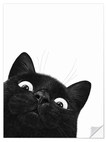 Wall sticker Funny Black Cat