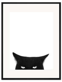 Gerahmter Kunstdruck Wütende schwarze Katze