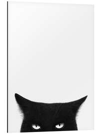 Magnettafel Wütende schwarze Katze