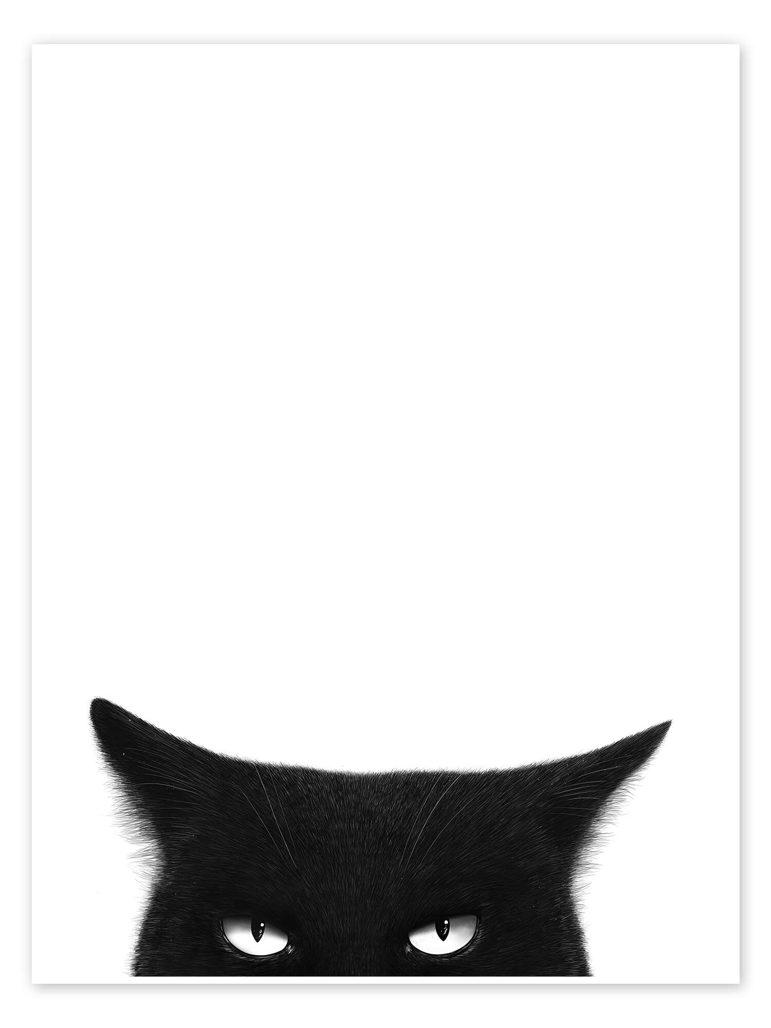 Angry Black Cat print by Valeriya Korenkova | Posterlounge