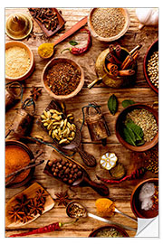 Selvklebende plakat Spices I