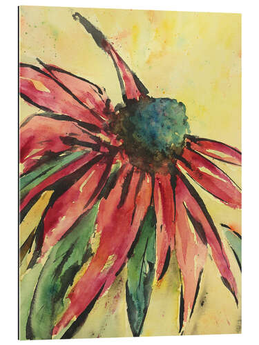 Gallery print Red Coneflower Fower