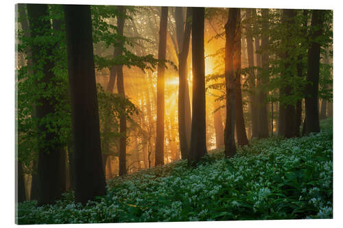 Akrylbilde Lush Wild Garlic Forest