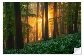 Naklejka na ścianę Lush Wild Garlic Forest