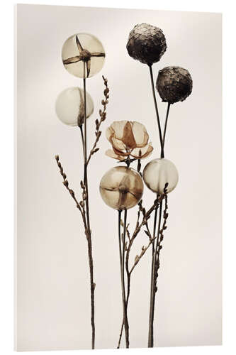 Acrylic print Glass Ball Flowers