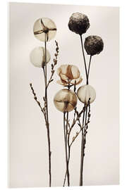 Akrylbillede Glass Ball Flowers