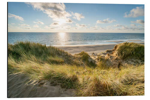 Aluminium print Dune Landscape at Sunset, North Sea Coast