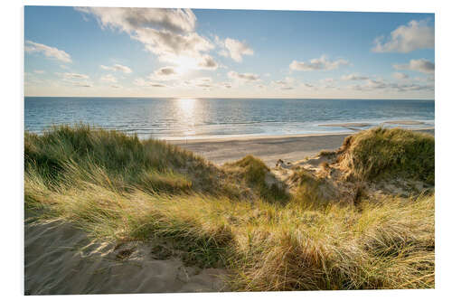 Foam board print Dune Landscape at Sunset, North Sea Coast