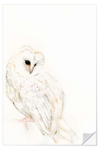 Selvklebende plakat Snow Owl