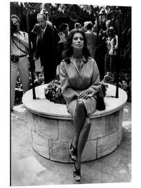 Aluminiumsbilde Sophia Loren, Cannes 1976