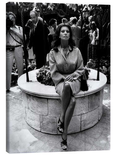 Canvas print Sophia Loren, Cannes 1976