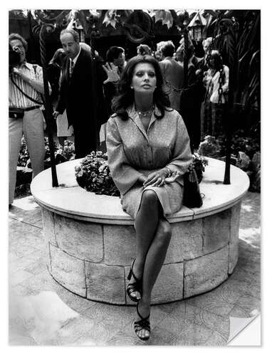 Selvklæbende plakat Sophia Loren, Cannes 1976