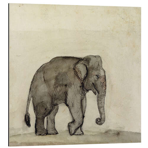 Tableau en aluminium Elephant, c. 1790