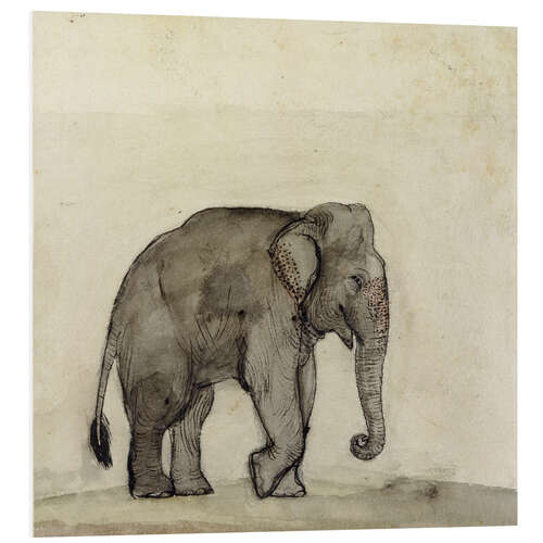 Print på skumplade Elephant, c. 1790