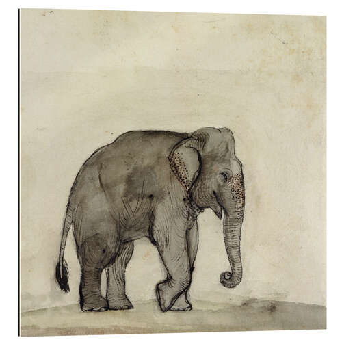 Gallery Print Elefant, etwa 1790