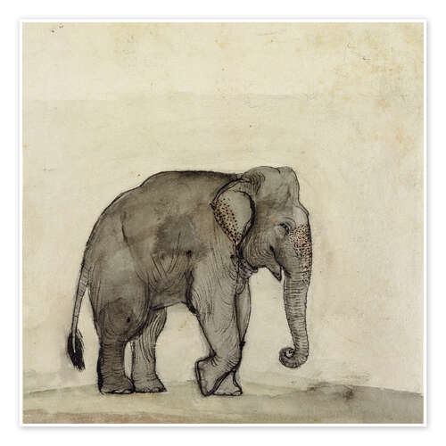 Poster Elefant, etwa 1790