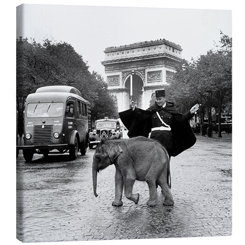 Canvas-taulu Baby Elephant in front of the Arc de Triomphe, Paris 1966