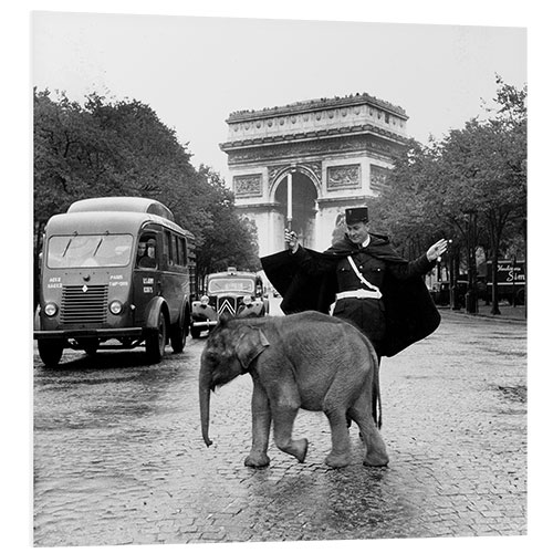 Hartschaumbild Baby Elefant vor dem Arc de Triomphe, Paris 1966