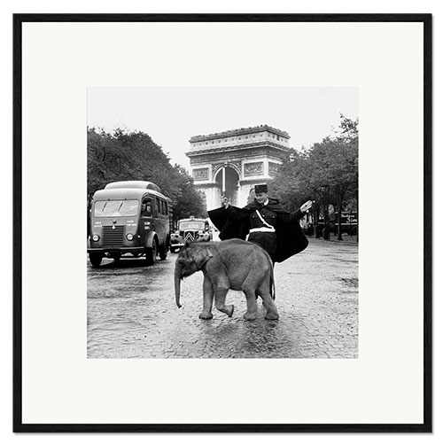Framed art print Baby Elephant in front of the Arc de Triomphe, Paris 1966