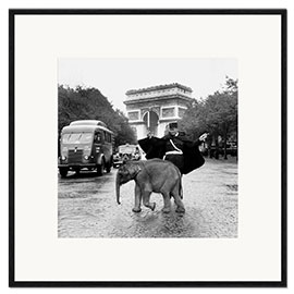 Kehystetty taidepainatus Baby Elephant in front of the Arc de Triomphe, Paris 1966