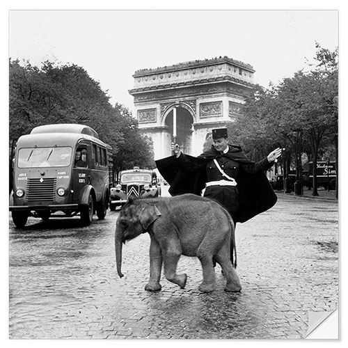 Sisustustarra Baby Elephant in front of the Arc de Triomphe, Paris 1966