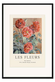 Gerahmter Kunstdruck Red Dahlias - Les Fleurs Collection