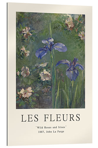 Galleriprint Wild Roses and Irises - Les Fleurs Collection