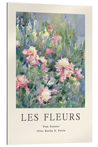 Galleriprint Pink Peonies (Les Fleurs Collection)