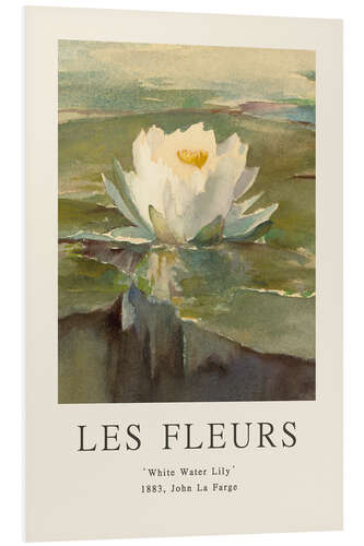 Bilde på skumplate White Water Lily, 1883