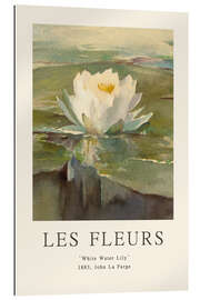 Gallery print White Water Lily, 1883