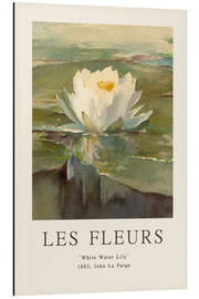 Magnettafel White Water Lily, 1883