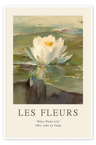 Poster White Water Lily, 1883