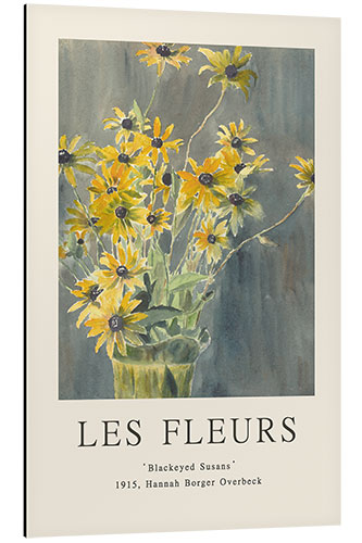 Cuadro de aluminio Blackeyed Susans, 1915