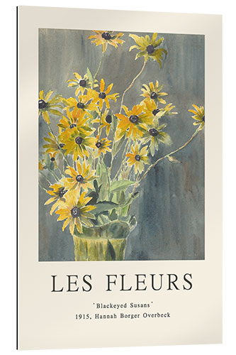 Stampa su plexi-alluminio Blackeyed Susans, 1915