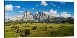 Tableau en aluminium Alpine Summer in South Tyrol - Alpe di Siusi