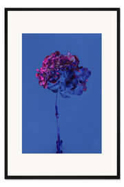 Gerahmter Kunstdruck Hydrangea 2, 2019