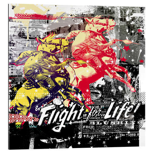 Gallery print Flight for Life!, 2015