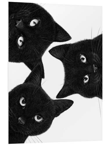 Foam board print Three Black Cats in a Circle