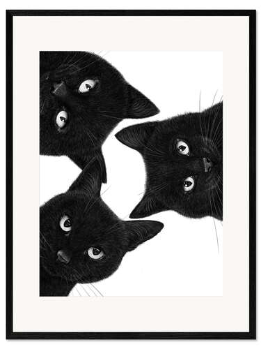 Ingelijste kunstdruk Three Black Cats in a Circle