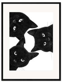 Stampa artistica con cornice Three Black Cats in a Circle