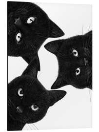 Magnettafel Drei schwarze Katzen im Kreis