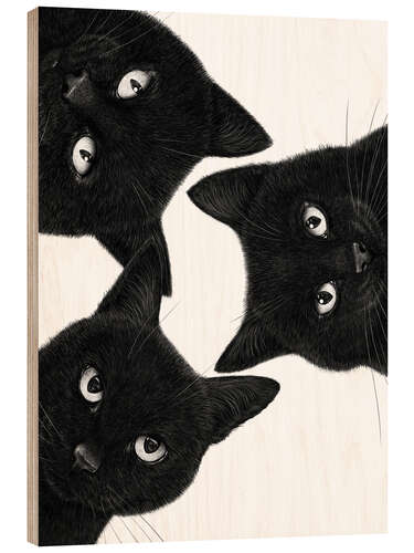 Stampa su legno Three Black Cats in a Circle