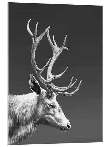 Gallery Print Reindeer