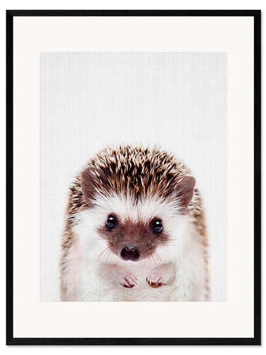 Impressão artística com moldura Baby Hedgehog