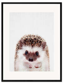 Impresión de arte enmarcada Baby Hedgehog