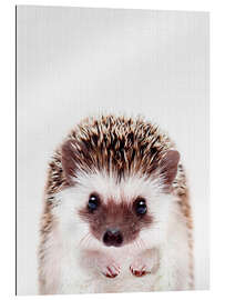 Quadro em plexi-alumínio Baby Hedgehog