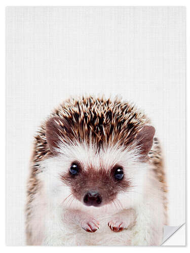 Vinilo para la pared Baby Hedgehog